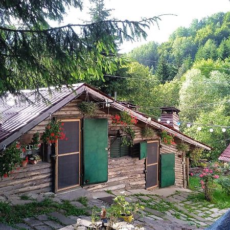 Zimska Idila Daire Crni Vrh Dış mekan fotoğraf