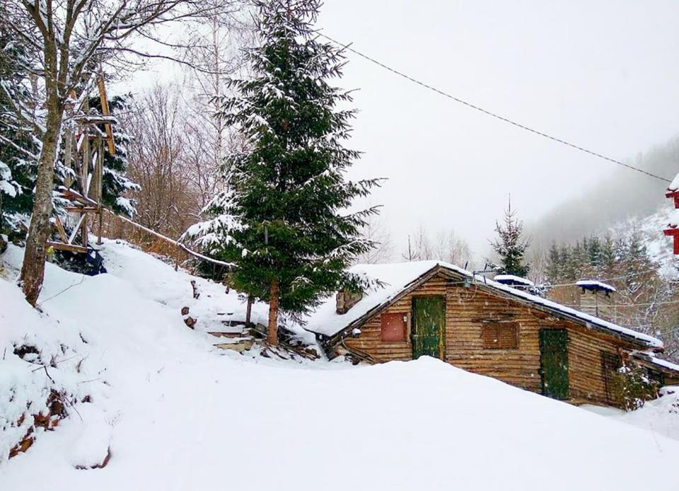 Zimska Idila Daire Crni Vrh Dış mekan fotoğraf