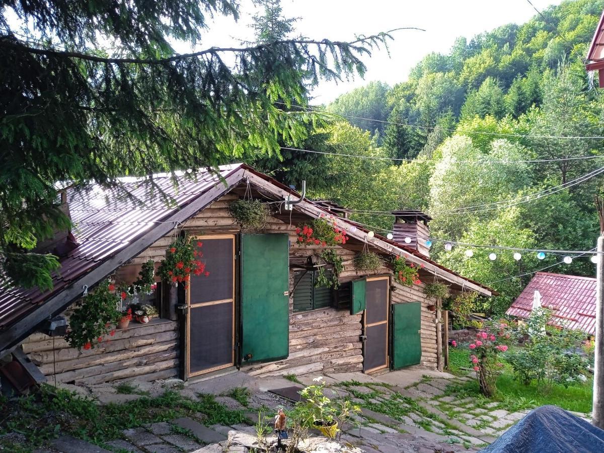 Zimska Idila Daire Crni Vrh Dış mekan fotoğraf