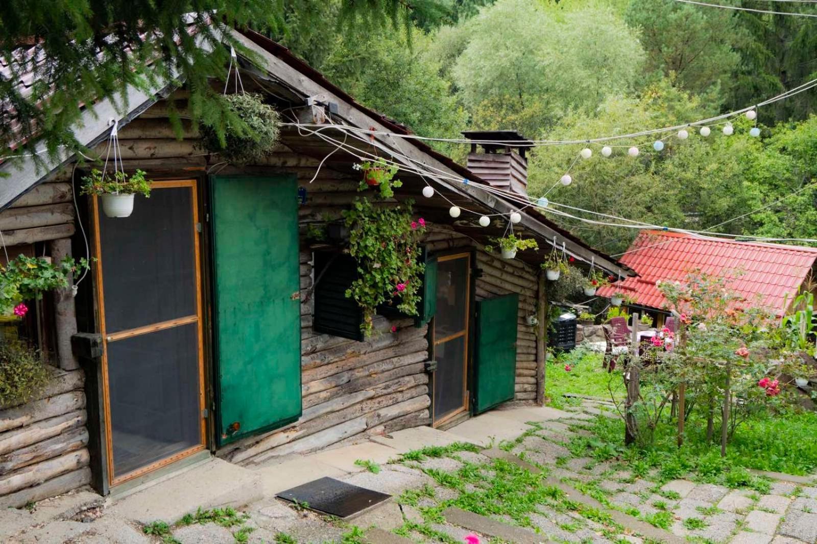 Zimska Idila Daire Crni Vrh Dış mekan fotoğraf